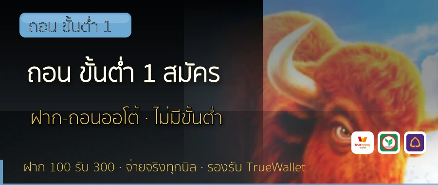 ถอน ขั้นต่ำ 1 สมัคร ถอน ขั้นต่ำ 1